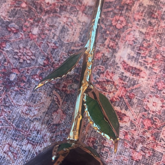 Roses🌹🥀💐 - Picture 10 of 11